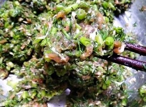 茴香猪肉馅(包子饺子通用)还可以换成牛肉馅的做法 步骤11