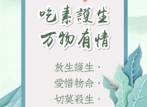 蔬菜汤30份😊家常👌附做法的做法 步骤31