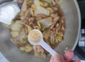 东北名菜白菜猪肉炖粉条的做法 步骤19