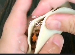 猪肉包菜韭菜馅水饺（附各种水饺）的做法 步骤12