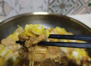 简单版本猪肉白菜炖粉条的做法 步骤16