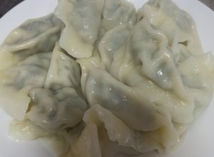 通用饺子🥟馅（蒲公英猪肉馅）的做法 步骤9