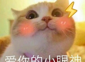 能量满满的猪肉脆皮肠(烤肠、灌肠、自制香肠)的做法 步骤3