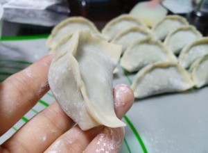 茴香猪肉馅(包子饺子通用)还可以换成牛肉馅的做法 步骤18