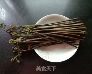 凉拌蕨菜