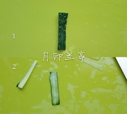 简单美丽的盘饰（9）——冷拼·洋葱荷花的做法 步骤20