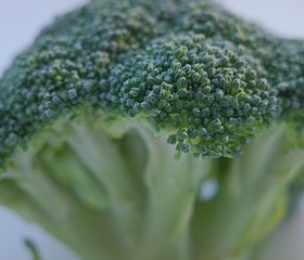 🥦西兰花松饼 宝宝辅食