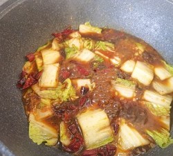 白菜豆腐炖粉条（素）的做法 步骤8