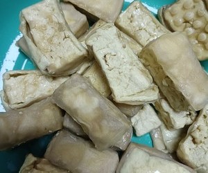 毛霉豆腐的做法 步骤17