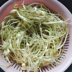 朝鲜族特色下饭小菜【拌小根蒜泡菜】的做法 步骤6