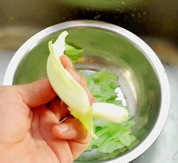 手撕包菜 豆腐菜 小白菜的做法 步骤5