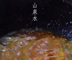 官财豆腐｜棺材豆腐｜辣酱炸豆腐酿肉｜非物质文化遗产的做法 步骤15