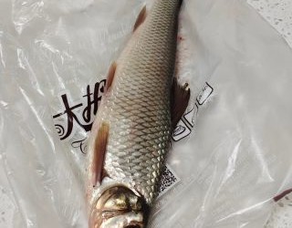 美味清蒸魚