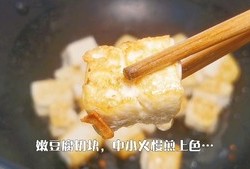 白菜三鲜豆腐煲的做法 步骤4