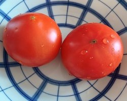 夏天拯救食欲开胃菜|  番茄肉末土豆丁的做法 步骤4