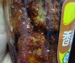 毛霉豆腐的做法 步骤23