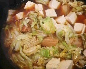 冬季最爱的家常菜！大白菜炖大豆腐或干豆腐的做法 步骤11