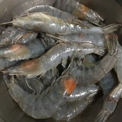 珍选捞汁༄「时蔬大虾🦐」༄