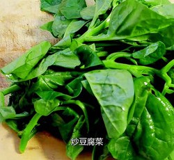 手撕包菜 豆腐菜 小白菜的做法 步骤14