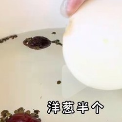 清炖牛腩  牛腩汤粉   西红柿炖牛肉的做法 步骤6