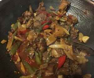 家常姜爆鸭（红烧鸭肉）的做法 步骤10