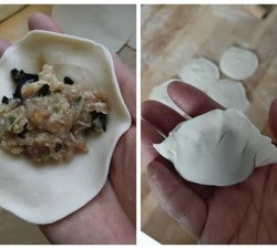 包饺子（内附饺子包法视频和煎饺做法以及白菜猪肉馅，黄瓜虾仁馅，韭菜鸡蛋木耳虾仁馅，小白菜木耳猪肉虾仁馅 鱼馅等调制方法）的做法 步骤11