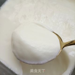 “缤纷水果”火龙果燕麦酸奶