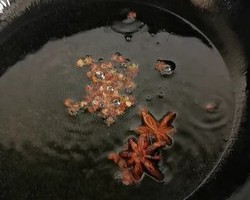 铁锅乱炖（鸡肉茄子豆角土豆南瓜）的做法 步骤2