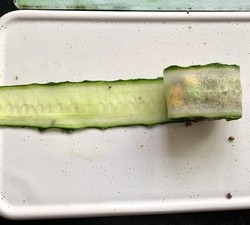 杂粮饭变身之黄瓜🥒杂粮卷的做法 步骤14