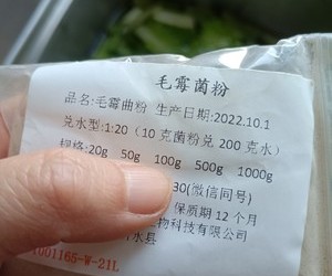 毛霉豆腐的做法 步骤2