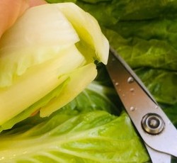 纯素美食｜翡翠水饺（杭白菜、干香菇、豆腐馅）的做法 步骤14