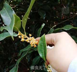 桂花糖浆