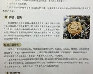 【基础知识】制作面包的基本步骤（超详细）的做法步骤 第15步