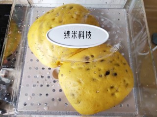 南瓜蜜豆馒头,20分钟后关火，再焖五分钟开盖。