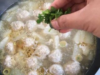 春季去火正当时～冬瓜肉丸汤+杂粮饭,关火，撒入香菜