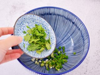 酸汤馄饨,加入香菜