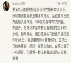 小葵厨房的自制鱼丸的做法 步骤15