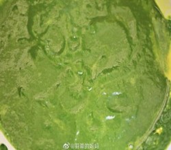 菠菜金枪鱼面包的做法 步骤4