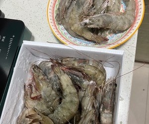 🦐虾里虾气（家庭版）