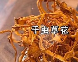 美味午餐板栗炖土鸡和虫草花鸡汤蒜蓉茄子的做法 步骤3