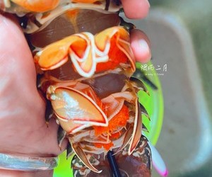 避风塘🐲龙🦞虾的做法 步骤3