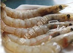 三鲜豆腐