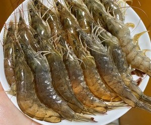 虾饼🦐