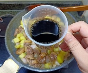 一鸭多吃~五香鸭胸焖土豆的做法 步骤8