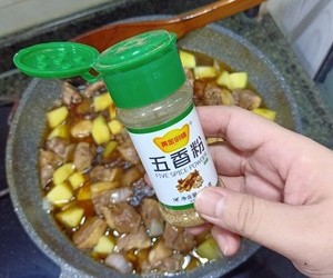 一鸭多吃~五香鸭胸焖土豆的做法 步骤9