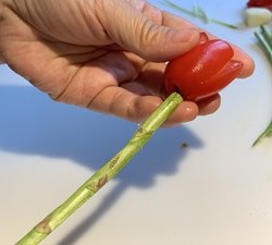 郁金香花开朵朵--小番茄版的做法 步骤15