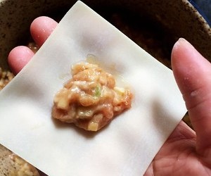 私房【重庆老麻抄手】老麻·中麻·微微麻任你选😋的做法 步骤7