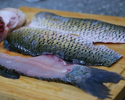 番茄鱼片汤【12月北鼎珐琅锅食谱】的做法 步骤4