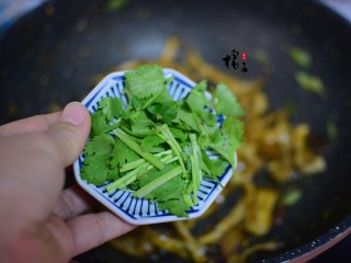 手撕蚝油杏鲍菇,加香菜